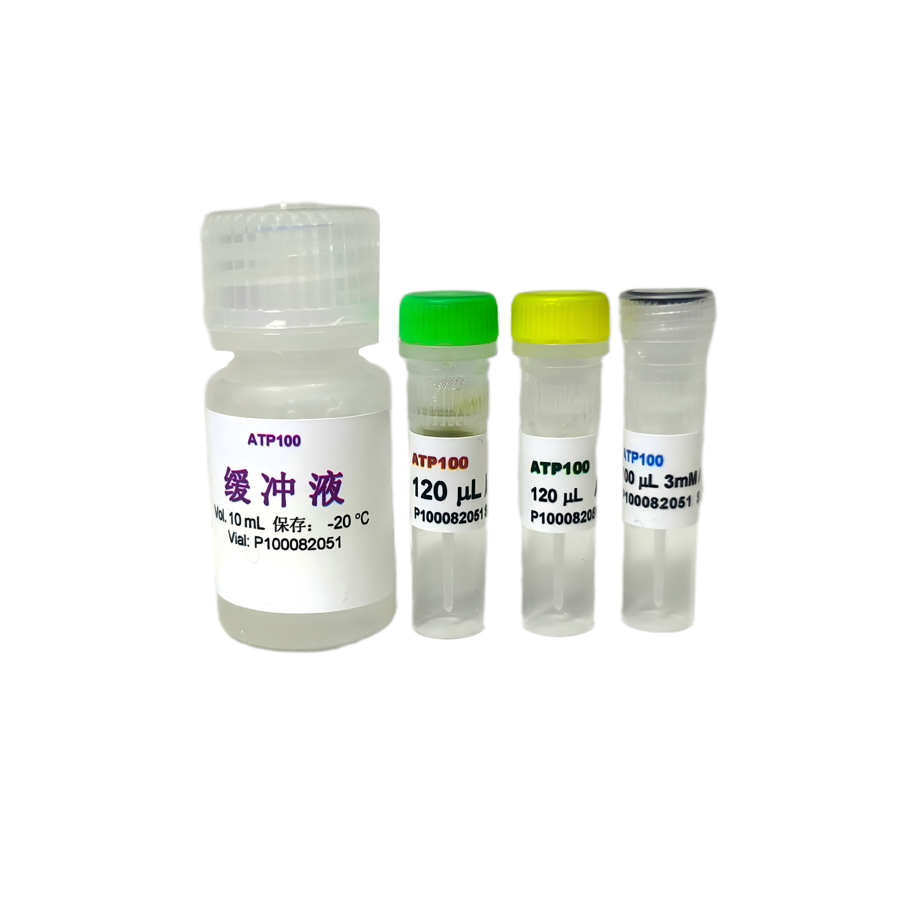 ATP试剂盒（货号：ATP100）