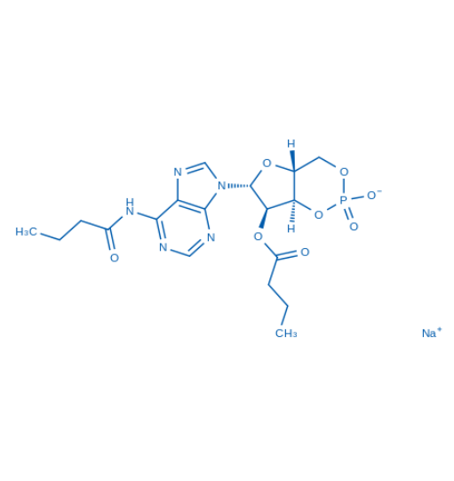 Dibutyryl-cAMP（货号：D0499）