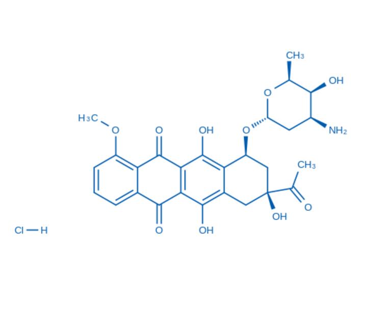 Daunorubicin HCl(货号:D6731)