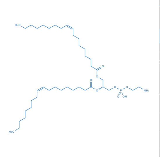 1,2-DOPE（货号：D7997）