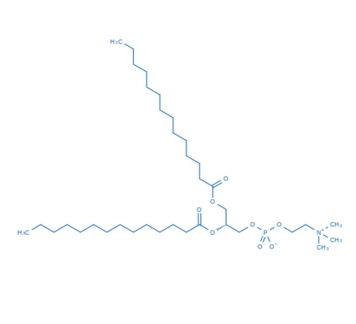 1,2-DMPC(货号:D9486)