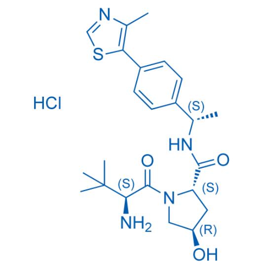 E3 ligase Ligand 1（货号：E3923）