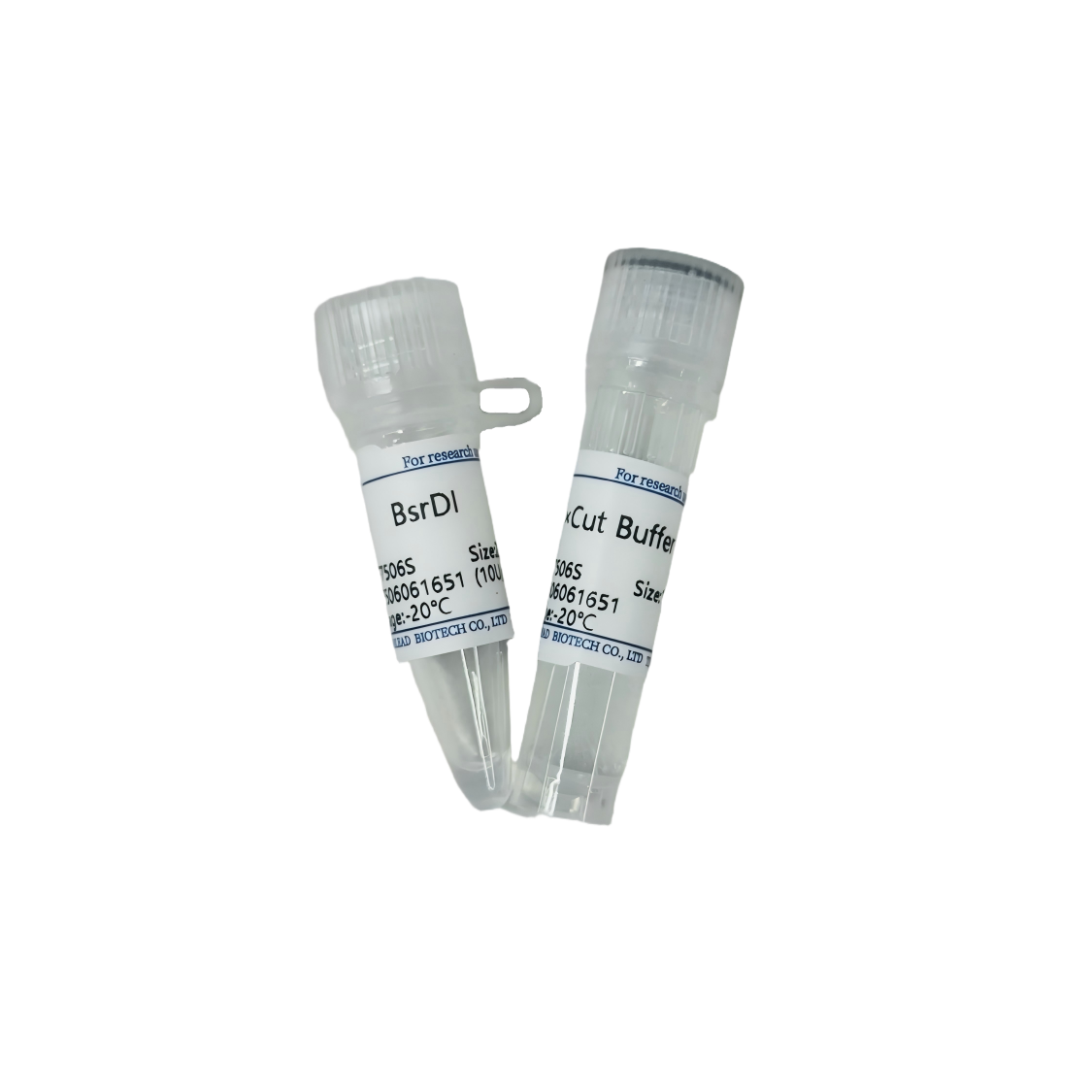 内切酶 BsrDI(货号:F7506S)