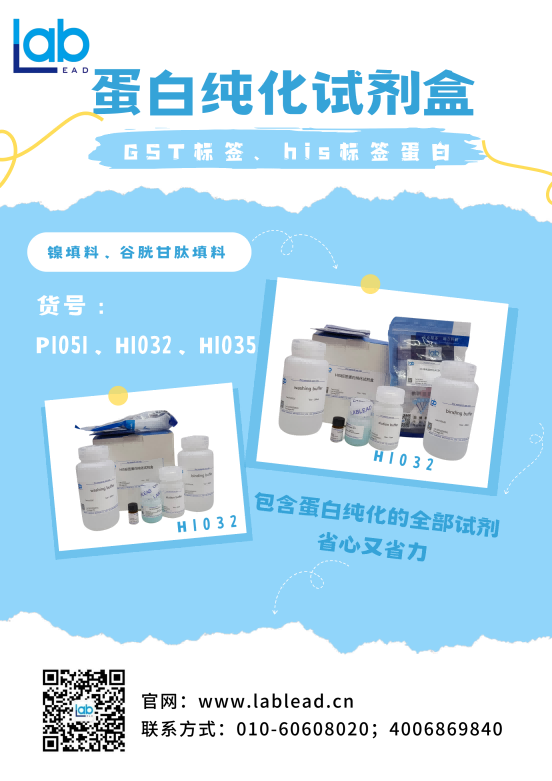 蛋白纯化试剂盒