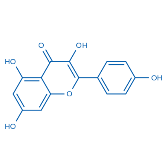 Kaempferol（货号：K6382）