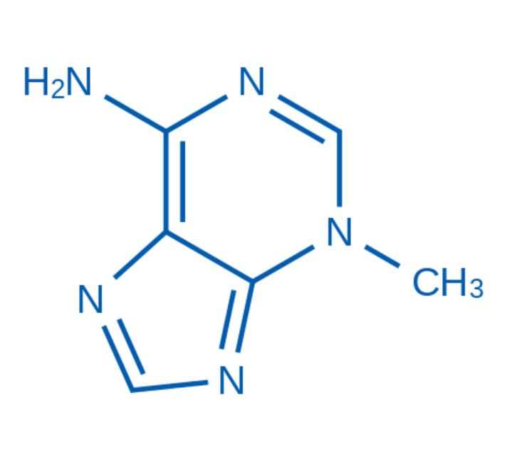 3-Methyladenine（货号：M9389）