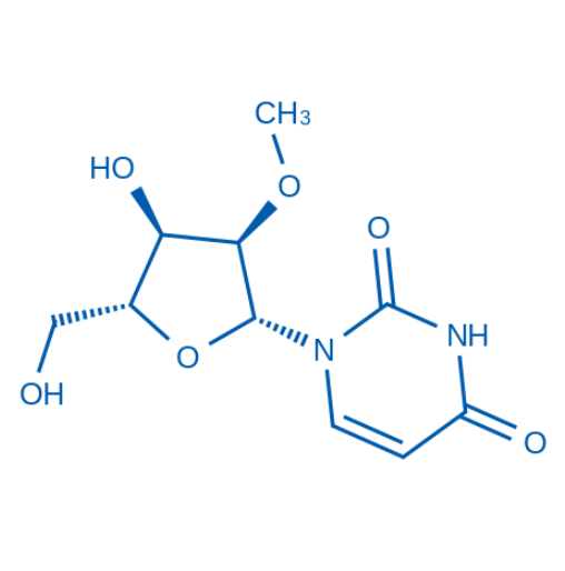 2′-O-Methyluridine（货号：O8335）