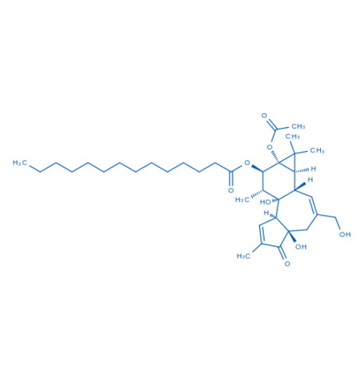Phorbol 12-Myristate 13-Acetate（货号：P1701）