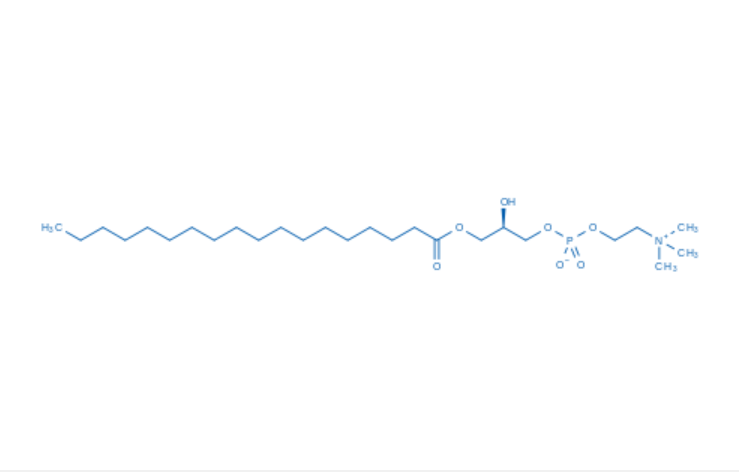 PC(18:0/0:0)（货号：P2313）