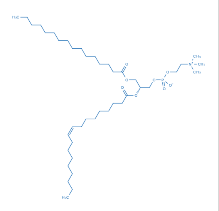 1,2-POPC（货号：P2318）