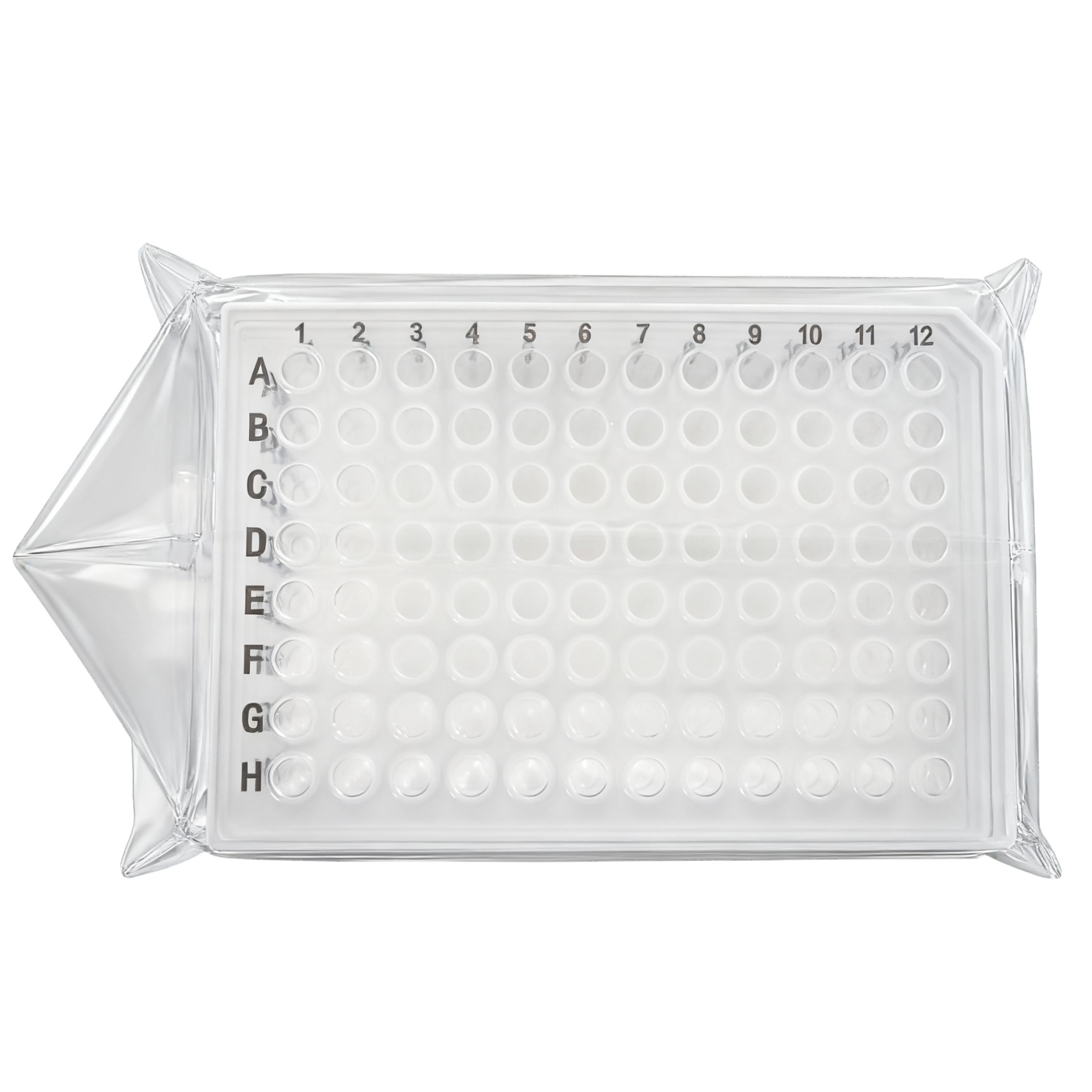 0.2ml 96孔qPCR板 半裙边 透明 黑字（货号：PCR-02-BLD）