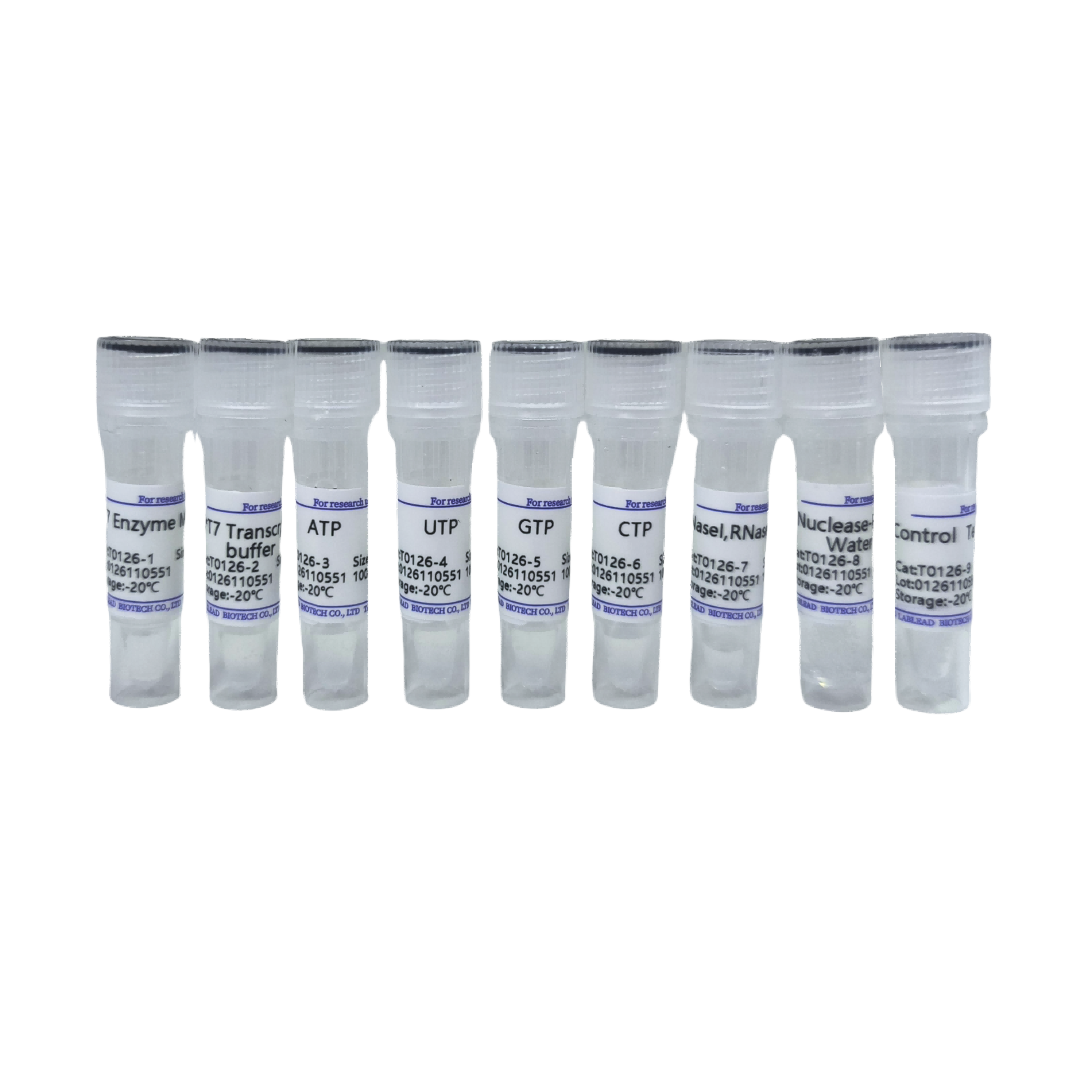 T7 High Yield RNA Synthesis Kit（货号：T0126）