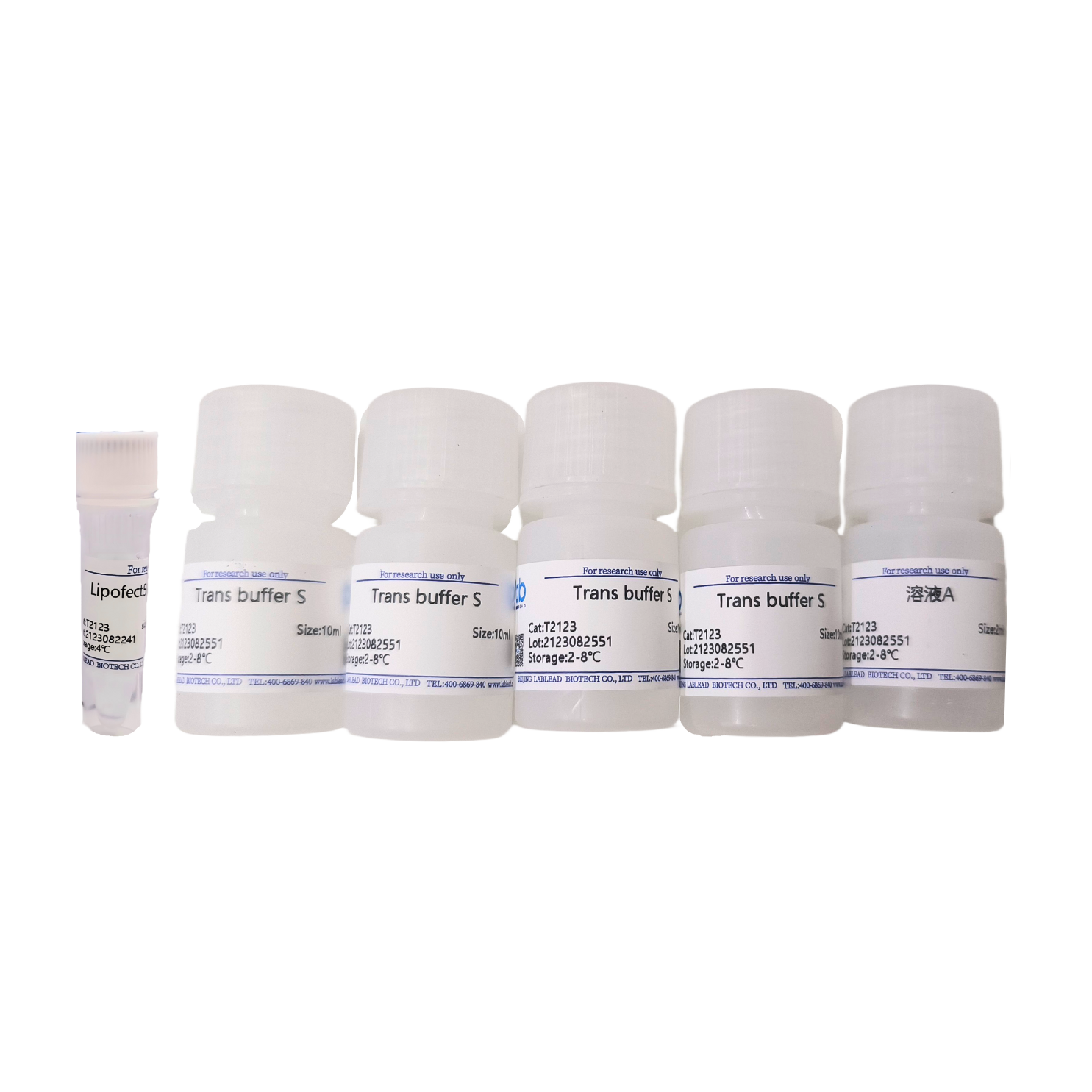 LabFect Lipofect5000 transfection reagent(货号:T2123)