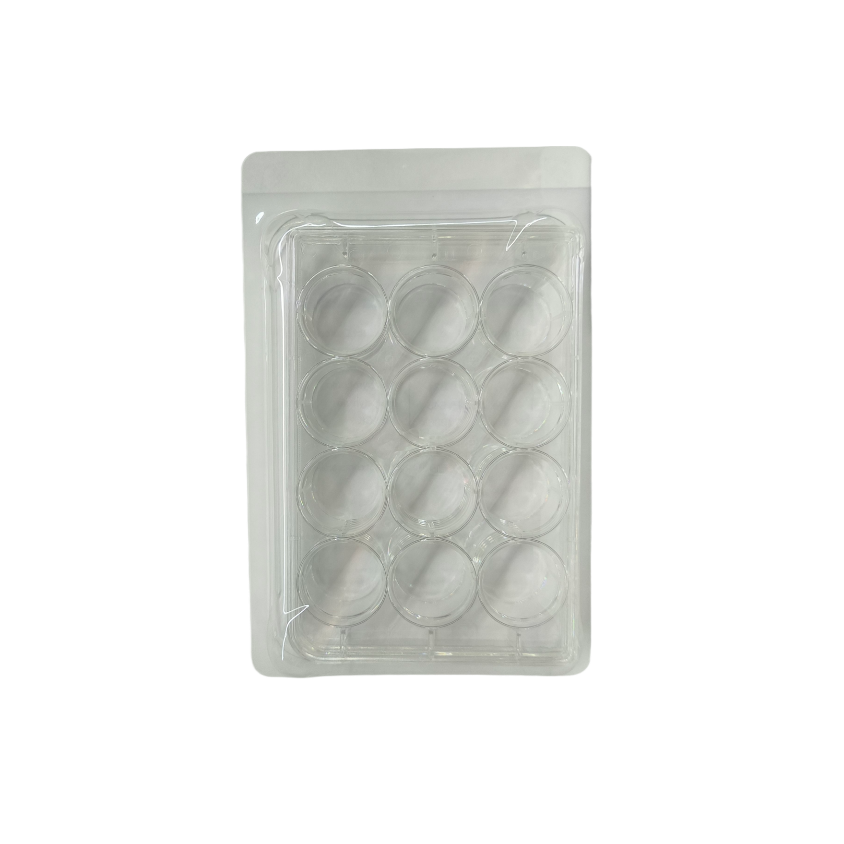 12孔TC平底细胞培养板，盒装灭菌（货号：XBPYB12）