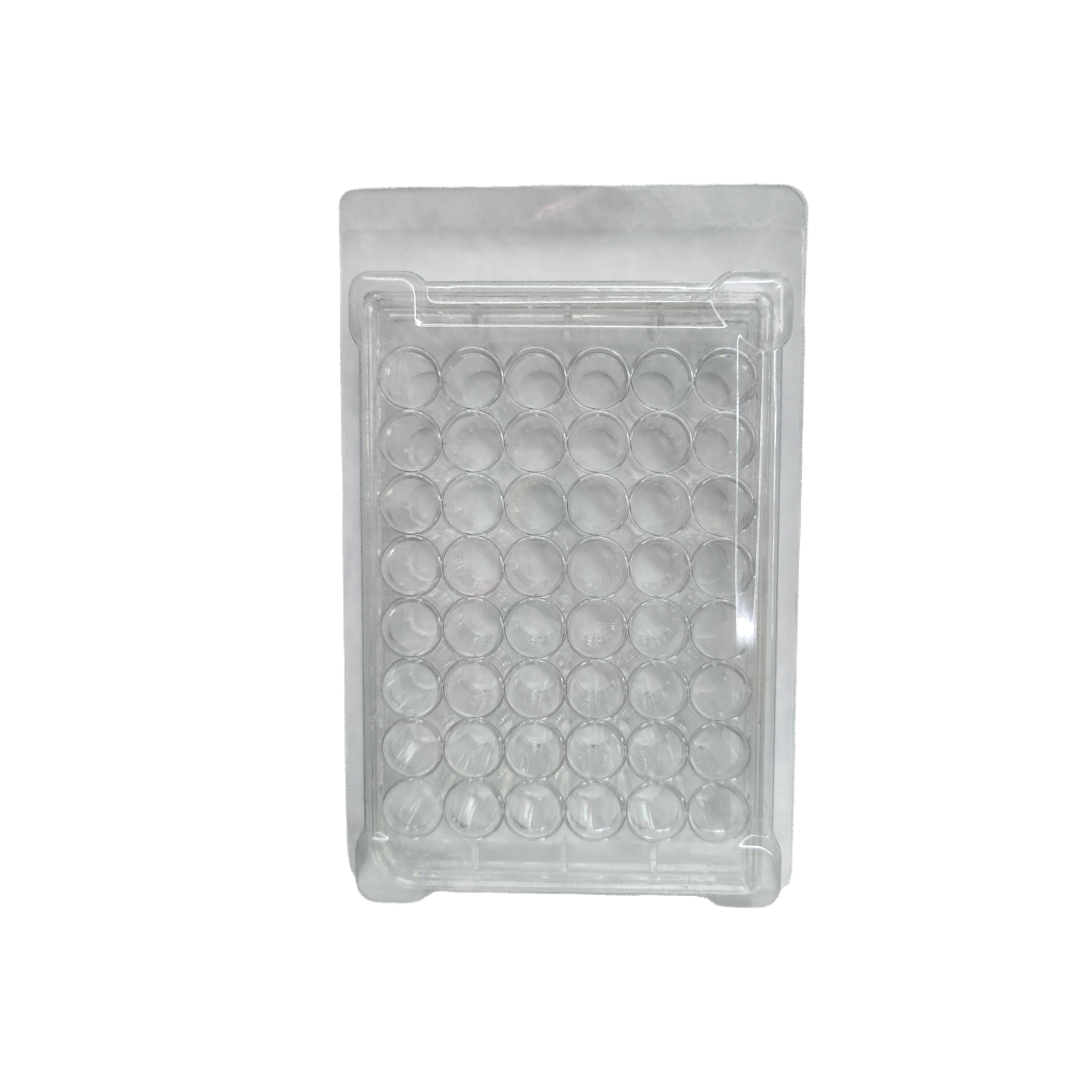 48孔TC平底细胞培养板，盒装灭菌（货号：XBPYB48）