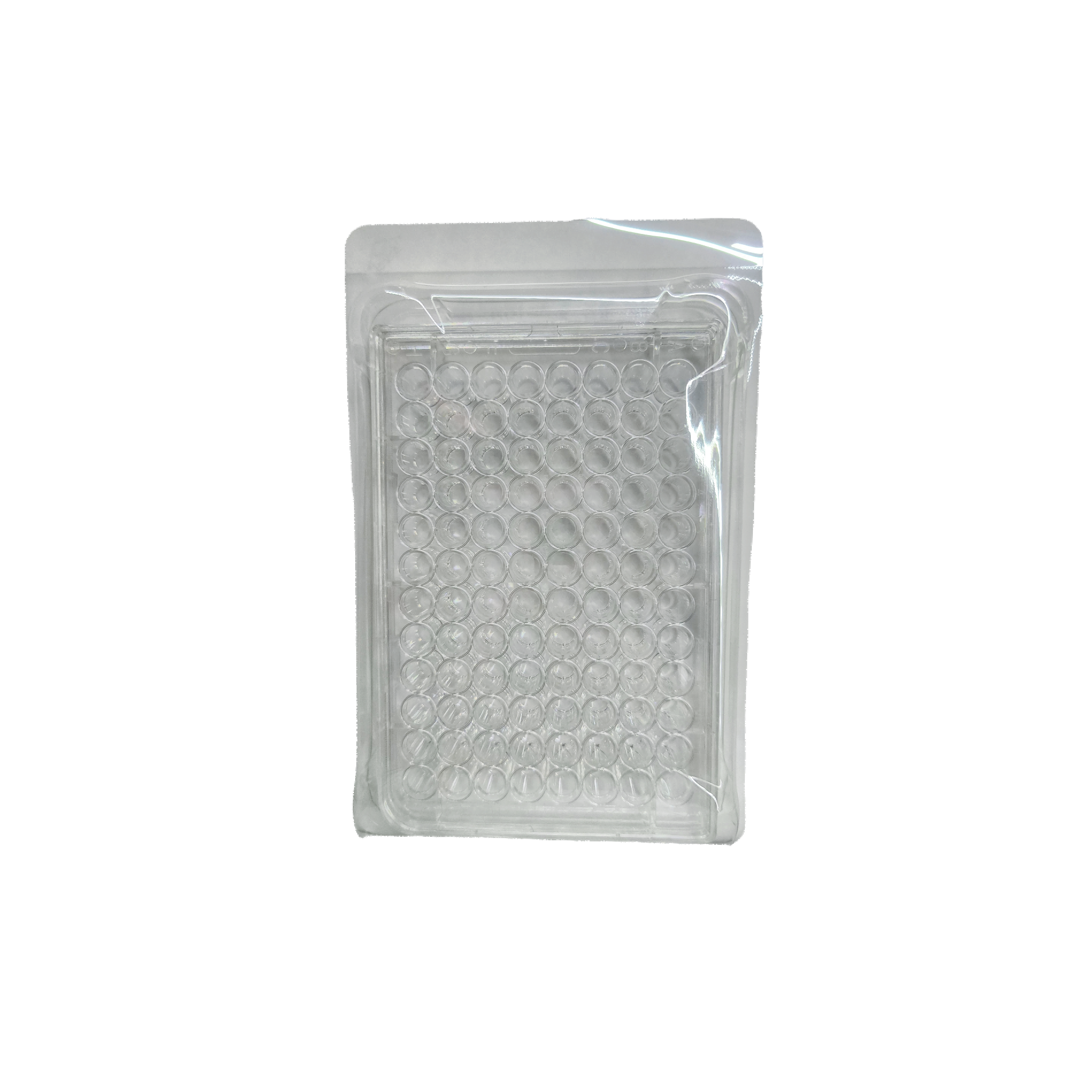 96孔TC平底细胞培养板，盒装灭菌（货号：XBPYB96）